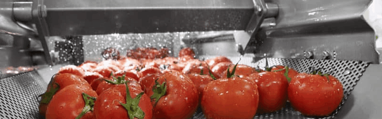 El agua desempeña múltiples roles críticos en cada etapa de la cadena de producción de alimentos.