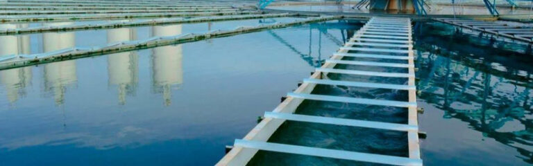 Contar con un proveedor de agua como Aguaribe es más que una simple transacción.