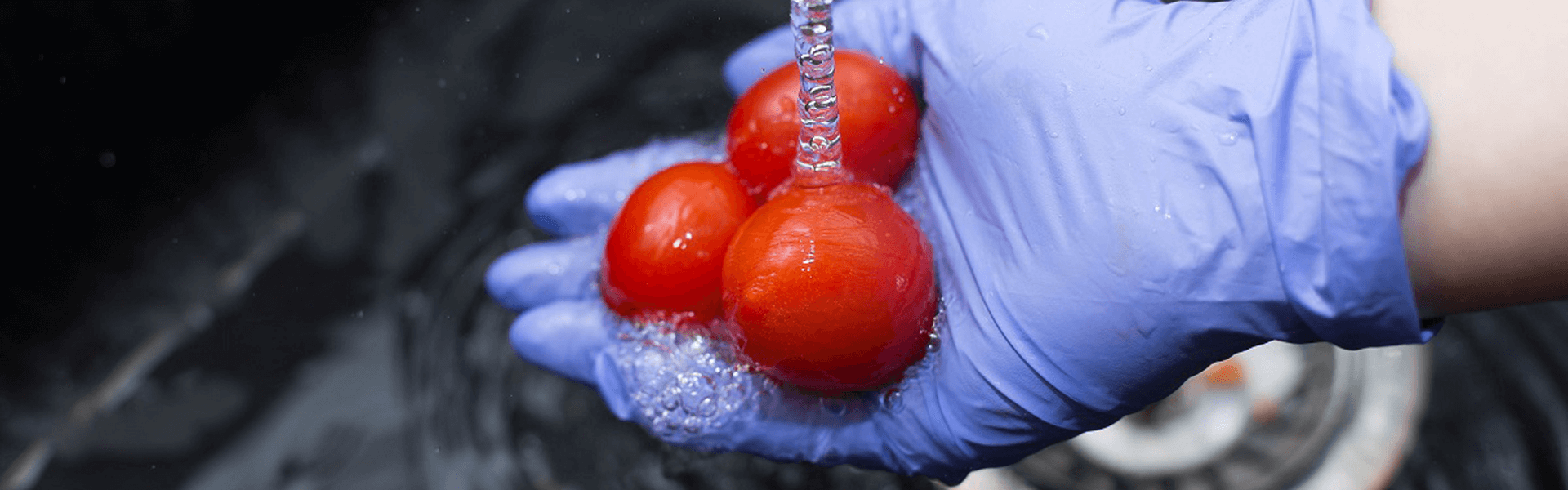 Por Qué el Agua de Calidad es Vital para la Industria Alimentaria en Saltillo