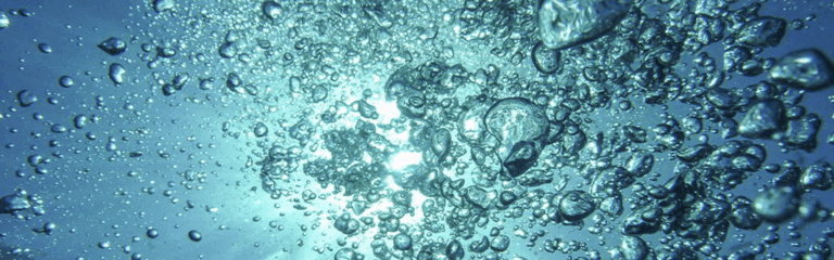¿Está tu operación recibiendo el agua que necesita para prosperar?