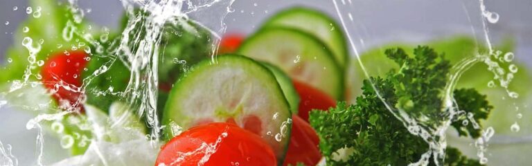 agua y alimentos